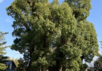 ■考え方ひとつで、景色は変わる。研修で気づいた「素直さ」の大切さ。