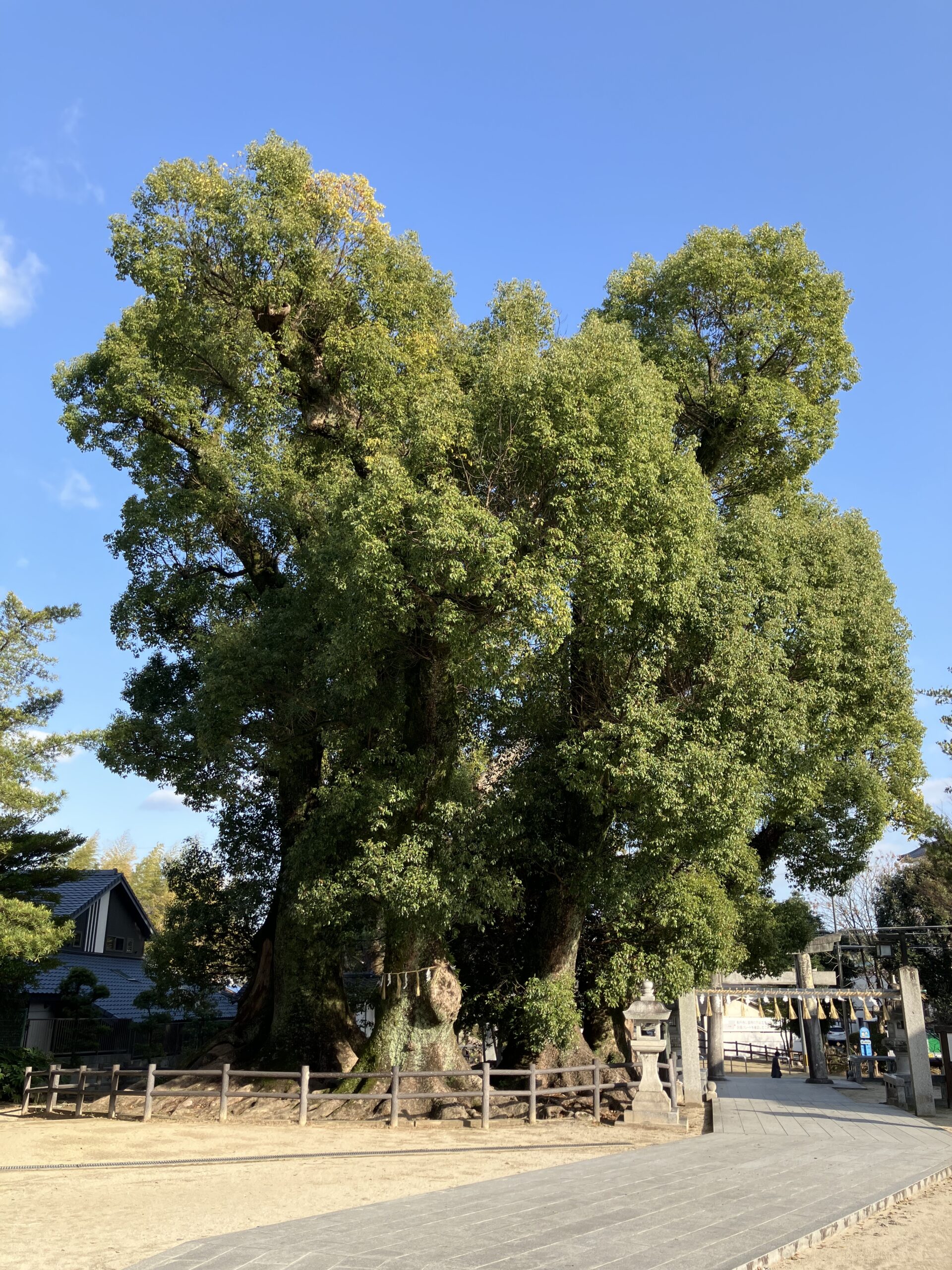 ■考え方ひとつで、景色は変わる。研修で気づいた「素直さ」の大切さ。
